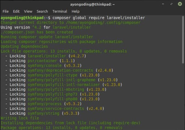 Menggunakan Laravel Installer