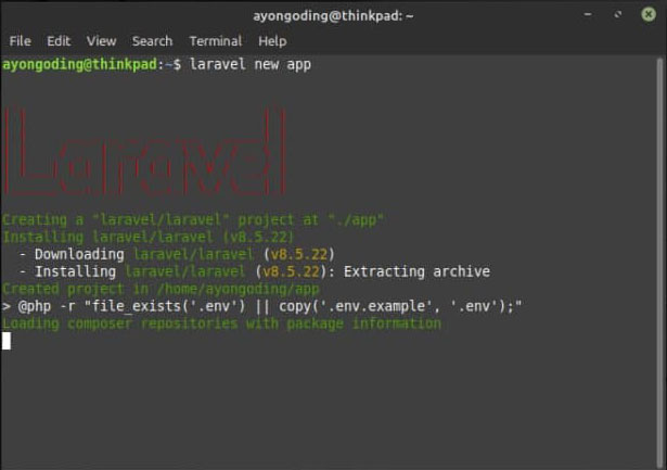 Menjalankan Laravel Installer