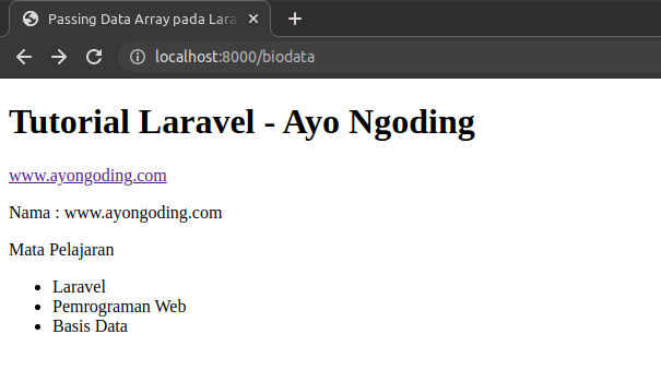 Passing Data Array Laravel