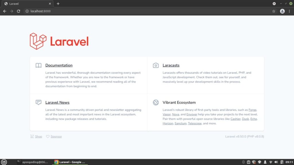 Tampilan Default Project Laravel