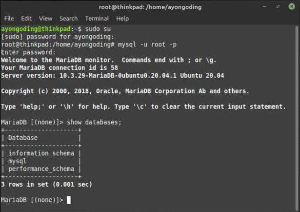 Tes Login MariaDB