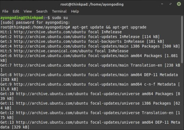 Update dan Upgrade Linux